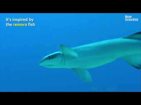 Представлен липкий морской робот-шпион