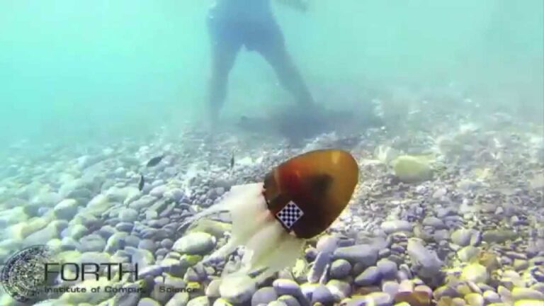 Роботизированный пловец с эластичной силиконовой сетью подражает осьминогу